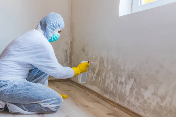 Licensed Crawl Space Mold Removal service in Mantua, VA - WQB Mold Removal