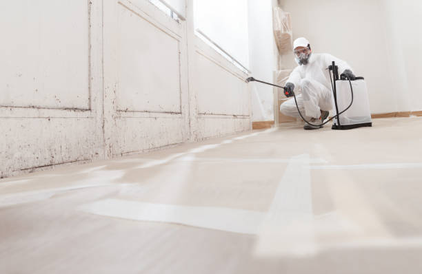 24/7 Emergency Crawl Space Mold Removal experts in Mantua, VA