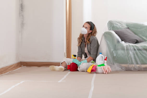 Reliable Crawl Space Mold Removal contractor in Mantua, VA by WQB Mold Removal