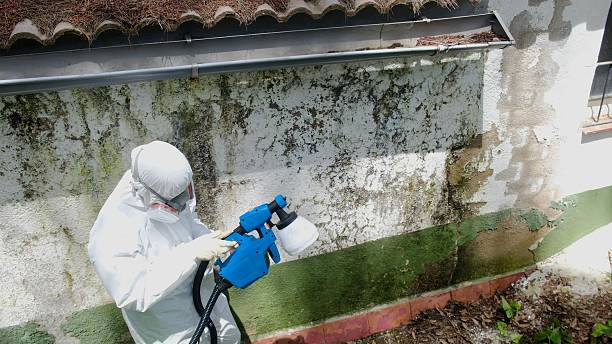 Top rated local Crawl Space Mold Removal specialists in Mantua, VA